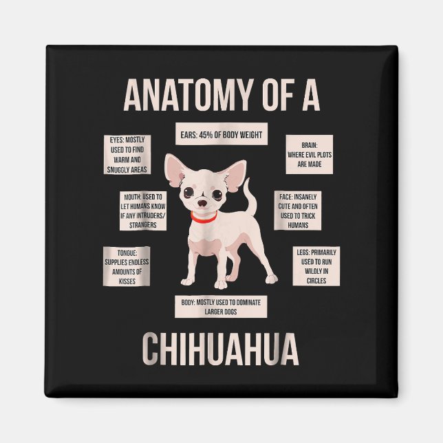 Aimant Anatomie Drôle Du Cadeau Du Chihuahua (Devant)