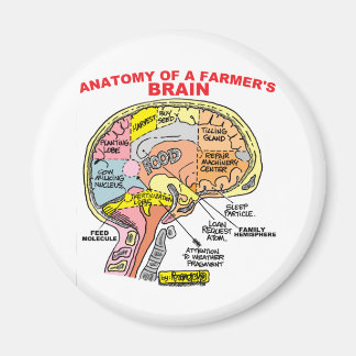 AIMANT ANATOMIE DU CERVEAU D'UN AGRICULTEUR