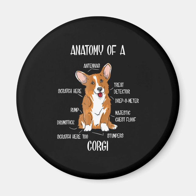Aimant Anatomie du chien, Joli cadeau Welsh Corgi Biologi (Devant)