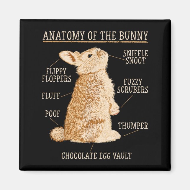 Aimant Anatomie du lapin amateur de lapin propriétaire d' (Devant)