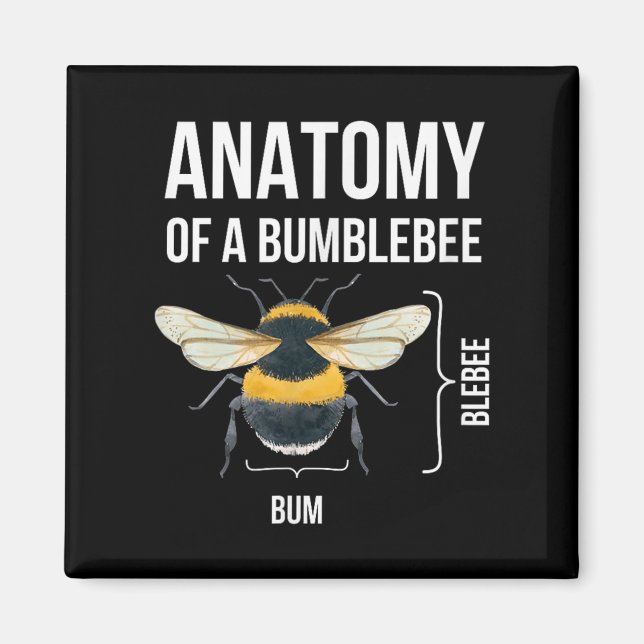 Aimant Anatomie D'Un Bumblebee Drôle Humour Sarcastique C (Devant)