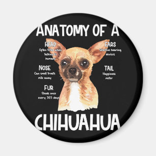 Aimant Anatomie D'Un Chihuahua Pour Amoureux de les chien