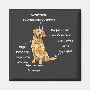 Aimant Anatomie d'un Golden Retriever - Drôle de maman/pa