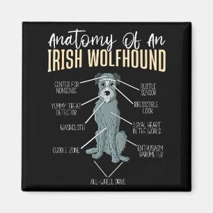 Aimant Anatomie d'un Irish Wolfhound