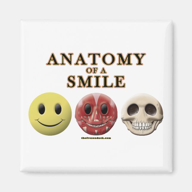 Aimant Anatomie d'un sourire (Devant)