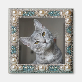 Aimant Ancre de mémoire de chat gris