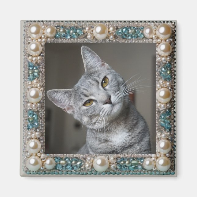 Aimant Ancre de mémoire de chat gris  (Devant)