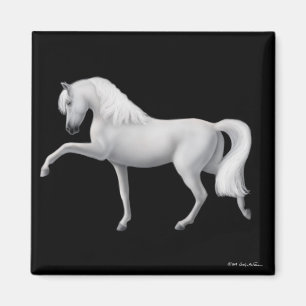 Aimant andalou blanc de cheval