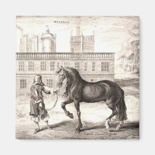 Aimant Andalou PRE Horse Vintage Engraving Art
