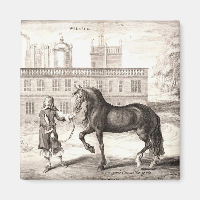 Aimant Andalou PRE Horse Vintage Engraving Art (Devant)