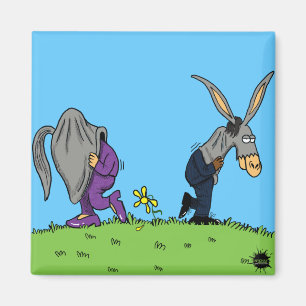 Aimant Ânes