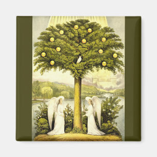 Aimant angels temps passé l'aimant