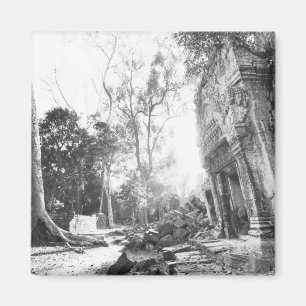 Aimant Angkor Cambodge, Détails Ta Prohm