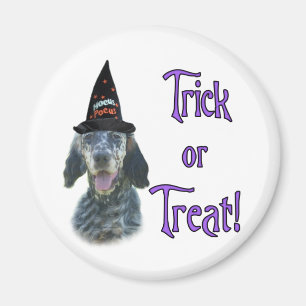 Aimant Anglais Setter Trick