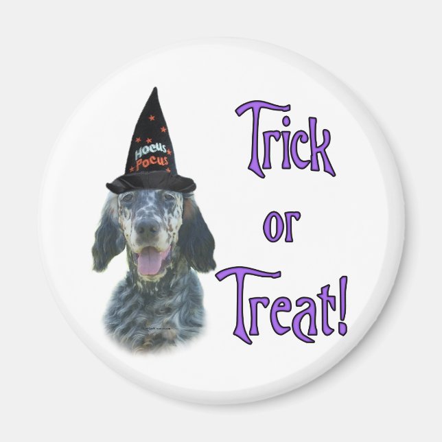 Aimant Anglais Setter Trick (Devant)
