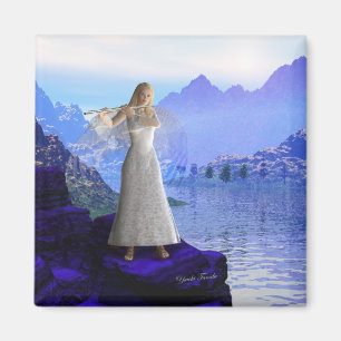 Aimant Angle de flux 2