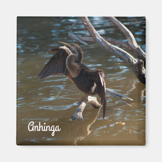 Aimant Anhinga (Devant)