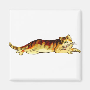 Aimant Animal Chat Mammifère Animaux