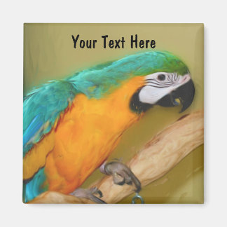 Aimant animal de perroquet bleu or macaw