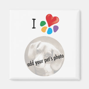 Aimant Animal le modèle photo de votre animal familier d