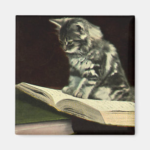 Aimant Animal vintage, Cute Victorian Kitten livre de lec