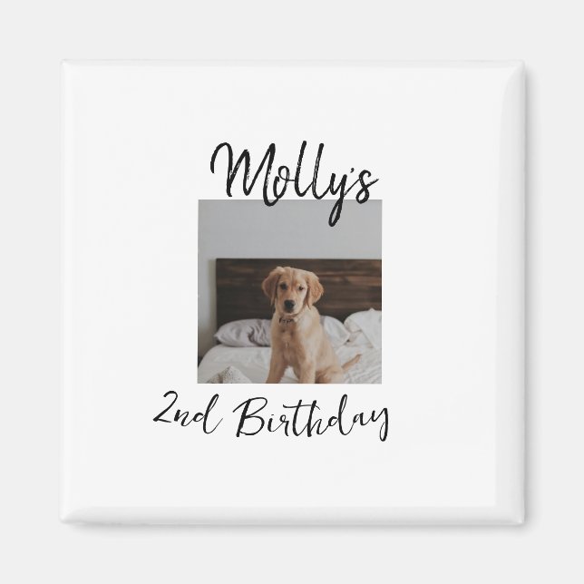 Aimant Animateur chien chat animal photo moderne simple (Devant)