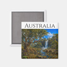 Animaux d'Australie Echidnés