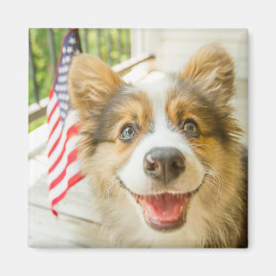 Aimant Animaux de bébés cutest   Chiot de Corgi Patriotiq