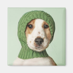 Aimant Animaux de bébés cutest   Cocker Spaniel