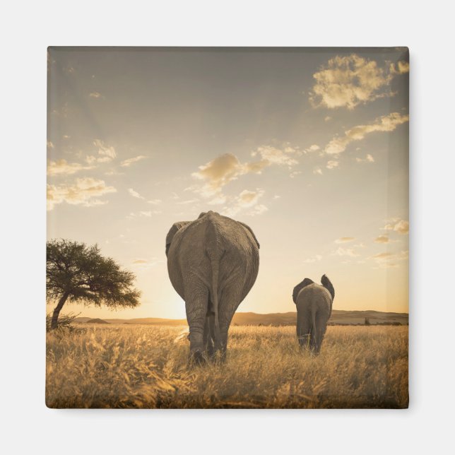 Aimant Animaux de bébés cutest | Eléphant veau et mère (Devant)