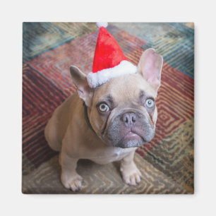 Aimant Animaux de bébés cutest   French Bulldog Christmas