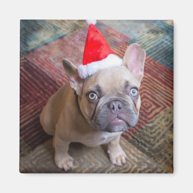Aimant Animaux de bébés cutest | French Bulldog Christmas (Devant)