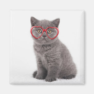 Aimant Animaux de bébés cutest   Lunettes cardiaques de c