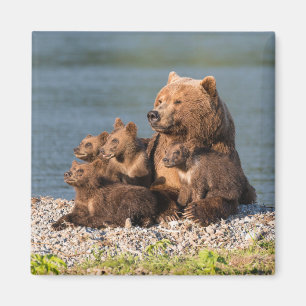 Aimant Animaux de bébés cutest   Mère Ours & Cubs