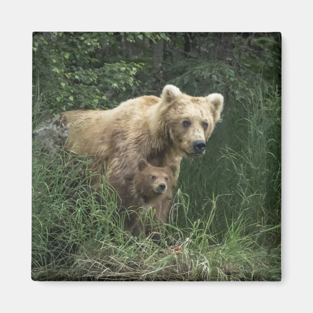 Aimant Animaux de bébés cutest | Ours Mama Ours et ses pe (Devant)