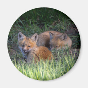 Aimant Animaux de bébés cutest Paire de frères et soeur