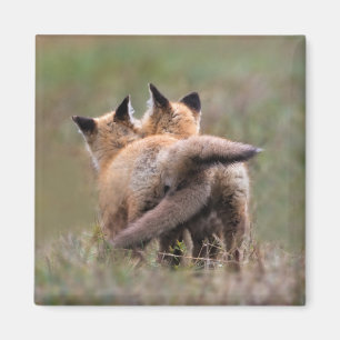 Aimant Animaux de bébés cutest Tails de verrouillage de