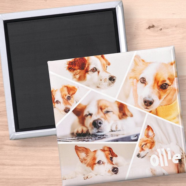 Aimant Animaux de compagnie Moderne Simple Personnalisé 6 (Créateur téléchargé)