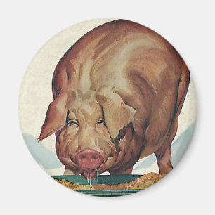 Aimant Animaux de ferme vintages, Cochon mangeant à un tr