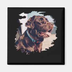 Aimant Animaux Domestiques Simple Moderne Cool Tygraphie 