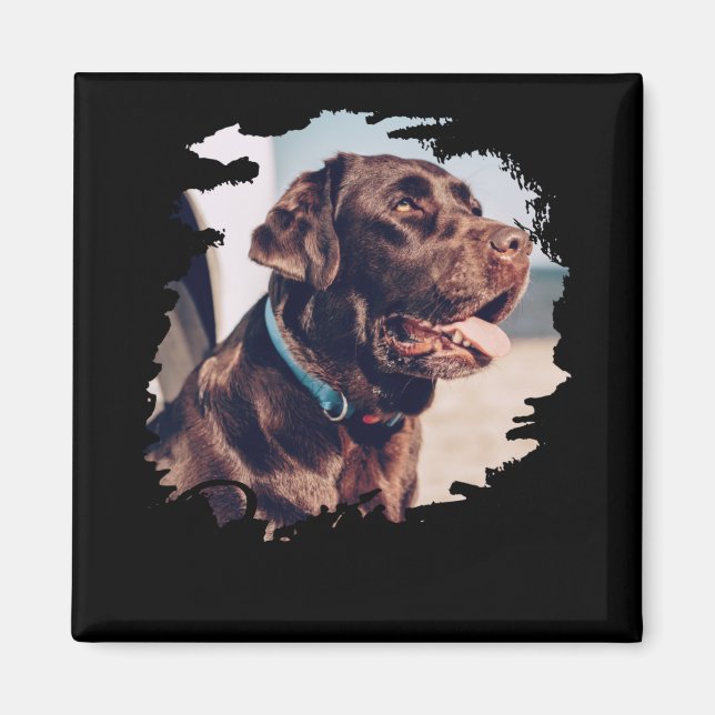 Aimant Animaux Domestiques Simple Moderne Cool Tygraphie  (Devant)