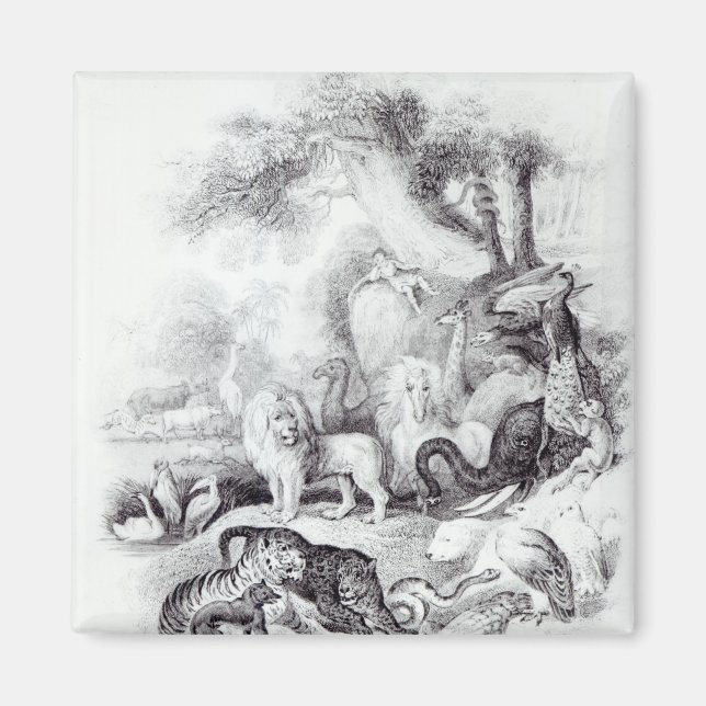 Aimant Animaux sauvages de 'Une histoire de la Terre (Devant)