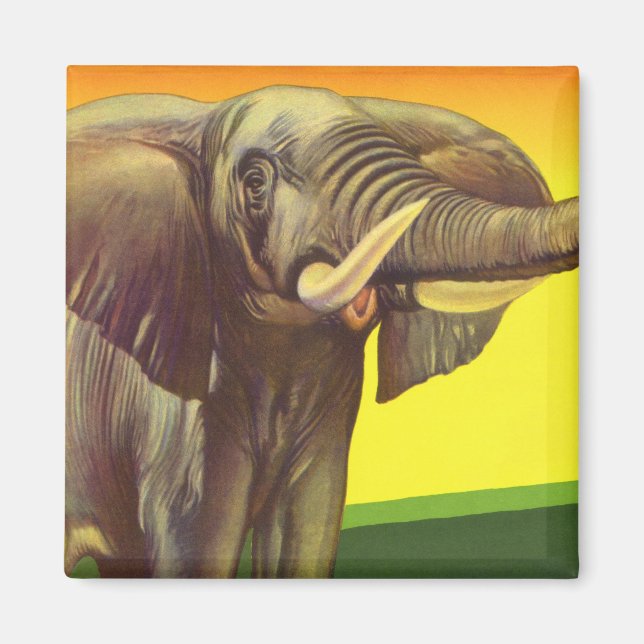 Aimant Animaux sauvages vintages, éléphant africain au co (Devant)