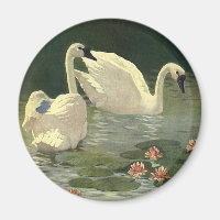 Animaux sauvages vintages Oiseaux, Cygnes blancs v