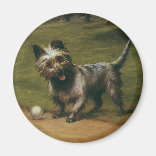 Aimant Animaux vintage chiens, chiot adorable Scottish Te