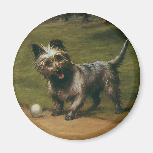 Aimant Animaux vintages Chiens, Chiot Terrier écossais mi (Devant)