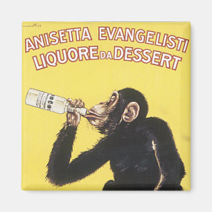 Aimant Anisetta Evangelisti