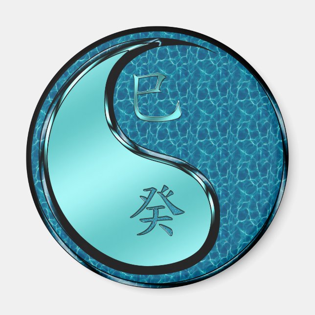 Aimant Année du serpent d'eau (Devant)