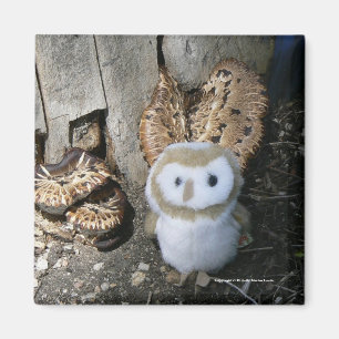 Aimant Annie et champignons