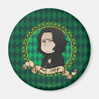 Aimant Annime Professeur Snape